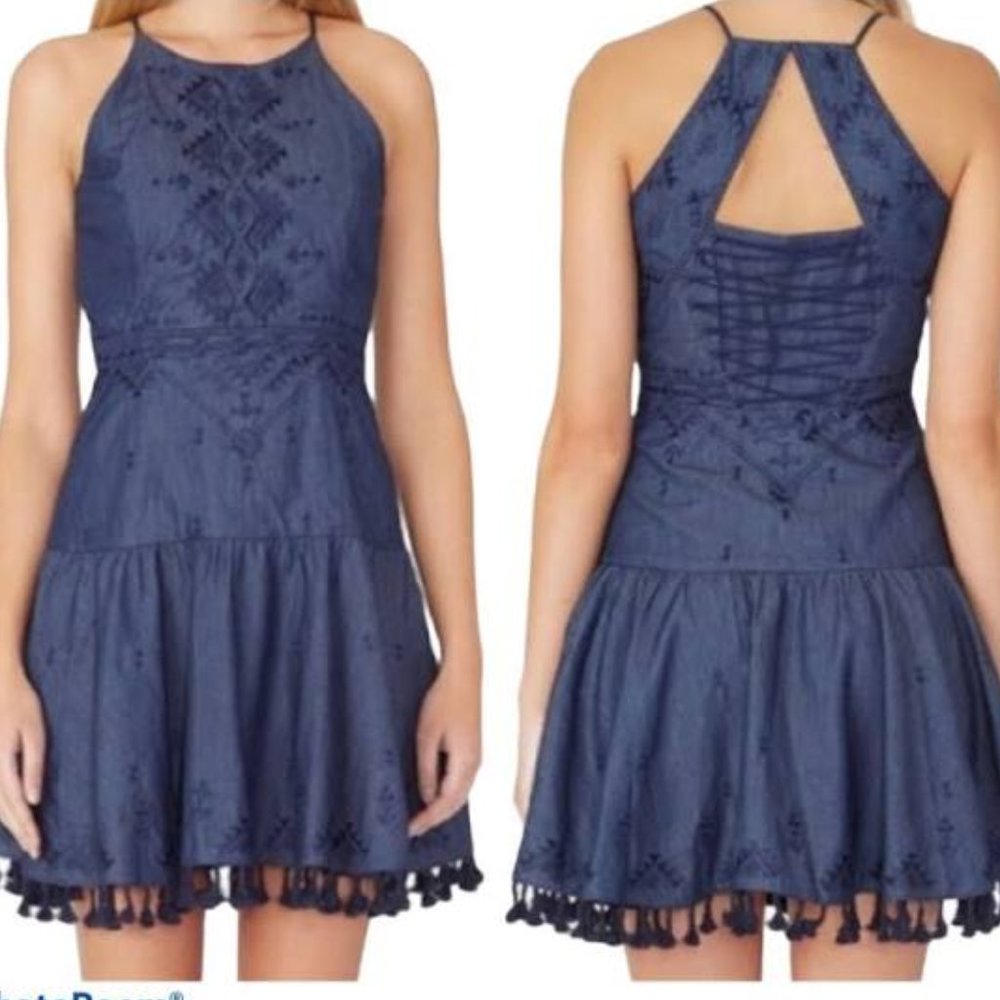NWT Parker Sandra Tassel Trim Chambray Dress